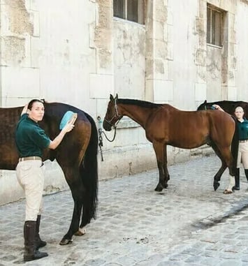La section équestre de l'École militaire de Paris : démonstrations