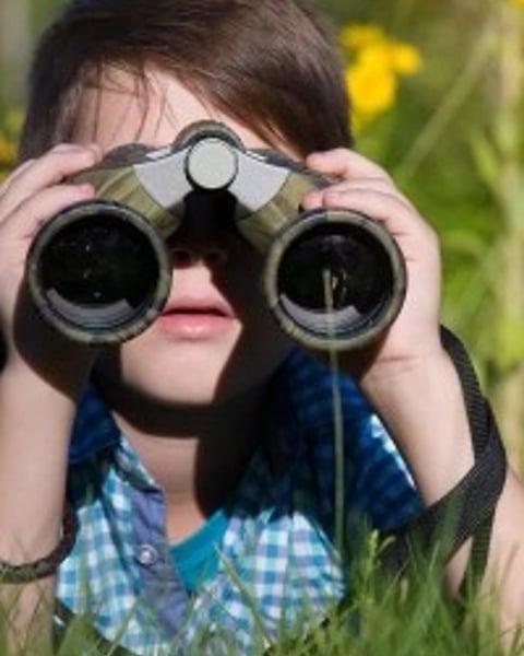 L'Apprenti