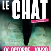 Le chat