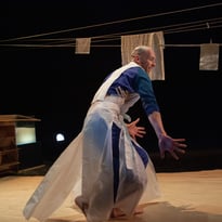 Cerfs-volants - Catherine Gendre