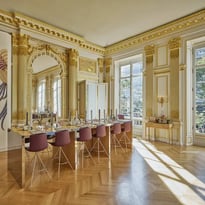 Visites guidées de l'Hôtel de Mercy-Argenteau et de l'exposition « Daniel Brush, l'art de la ligne et de la lumière »