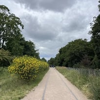 La Petite Ceinture en balade : un patrimoine ferroviaire réinventé