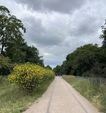 La Petite Ceinture en balade : un patrimoine ferroviaire réinventé
