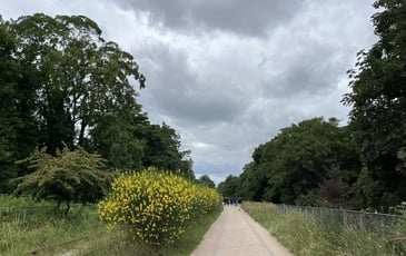 La Petite Ceinture en balade : un patrimoine ferroviaire réinventé