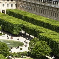 Histoire de la cour d'honneur du Palais-Royal et de ses sculptures
