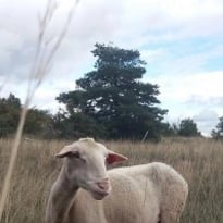 Larzac !