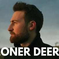 Loner Deer