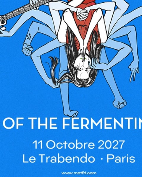 Take Me Out : Mass of the Fermenting Dregs en concert