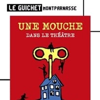 Une mouche dans le théâtre