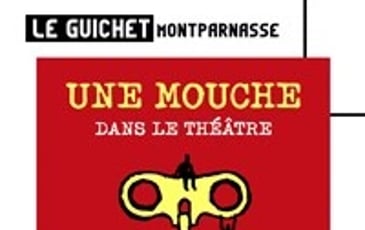 Une mouche dans le théâtre