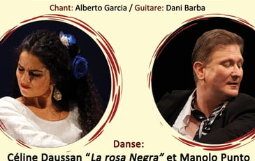 Sunday Flamenco, le cycle de flamenco