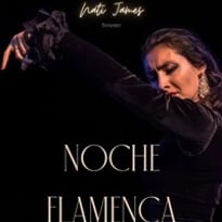 Noche Flamenca Nati James