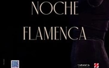 Noche Flamenca Nati James