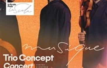 Trio concept