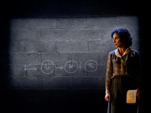 Exil intérieur, Lise Meitner et la fission nucléaire