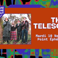 Take Me Out : The Telescopes