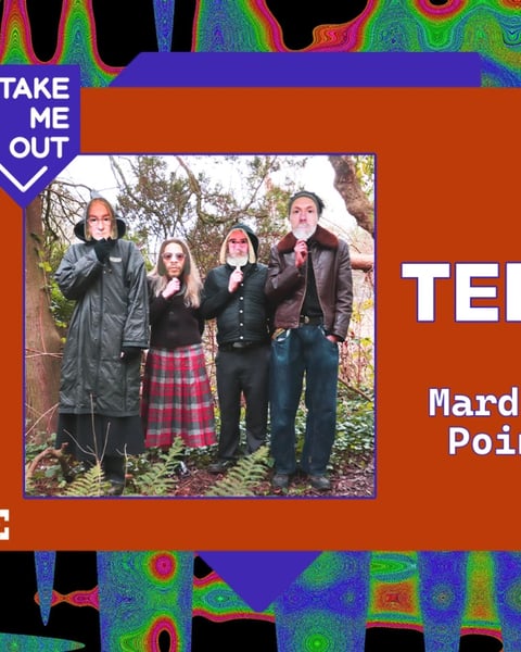 Take Me Out : The Telescopes