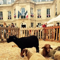 Patrimoine naturel : immersion dans une ferme pédagogique