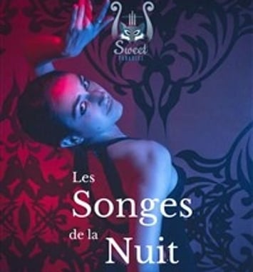 Les songes de la nuit
