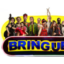 Le Bringuebal