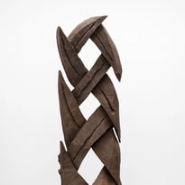 Catching Forms. Wood to Bronze : David Nash