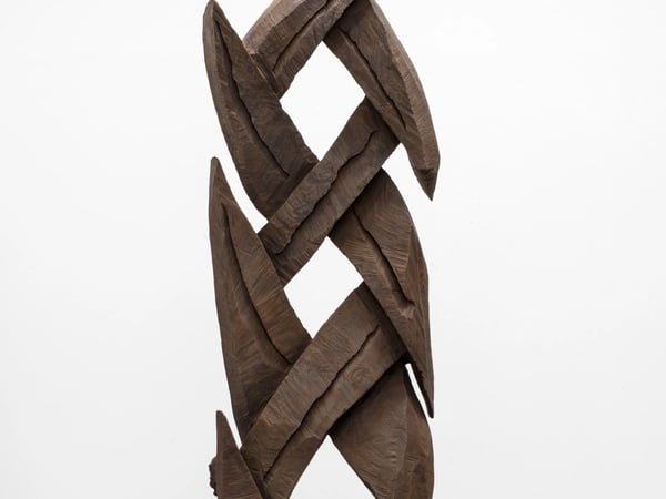 Catching Forms. Wood to Bronze : David Nash