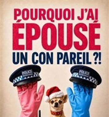 Pourquoi j'ai épousé un con pareil ?!