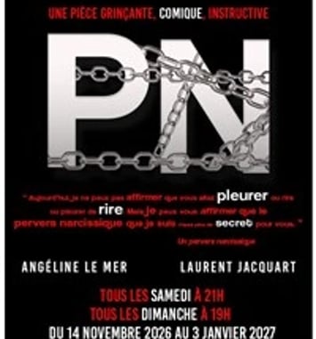 PN (Pervers Narcissique)