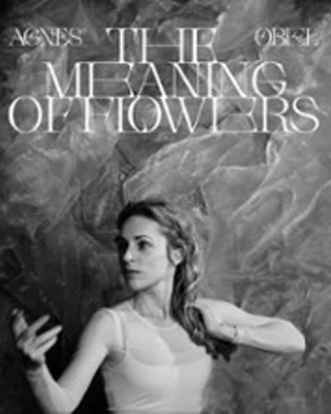 Agnes Obel