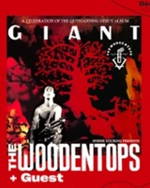 The Woodentops