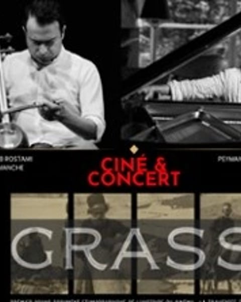 Peyman Yazdanian & Adib Rostami, Grass