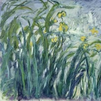 Claude Monet, réinventer la nature