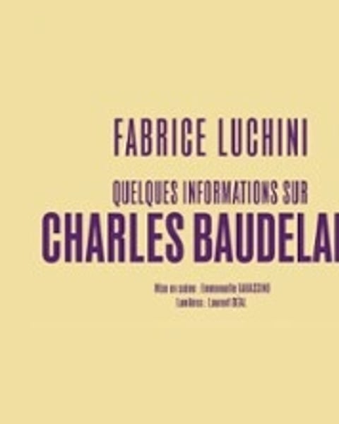 Fabrice Luchini, Quelques informations sur Charles Baudelaire