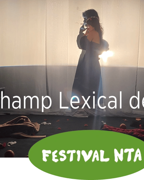 Le Champ Lexical des Epées