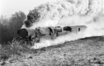 Steam Power : Pietro Pietromarchi
