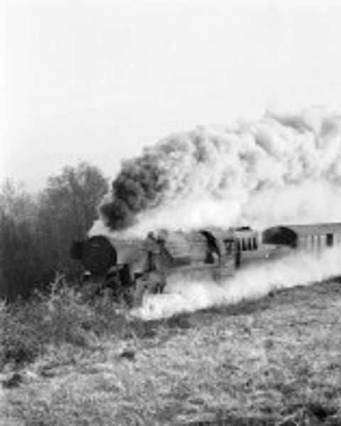 Steam Power : Pietro Pietromarchi