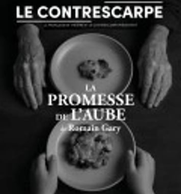 La Promesse de l'aube