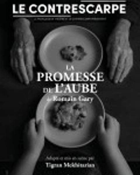 La Promesse de l'aube