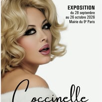Coccinelle, chercher la femme