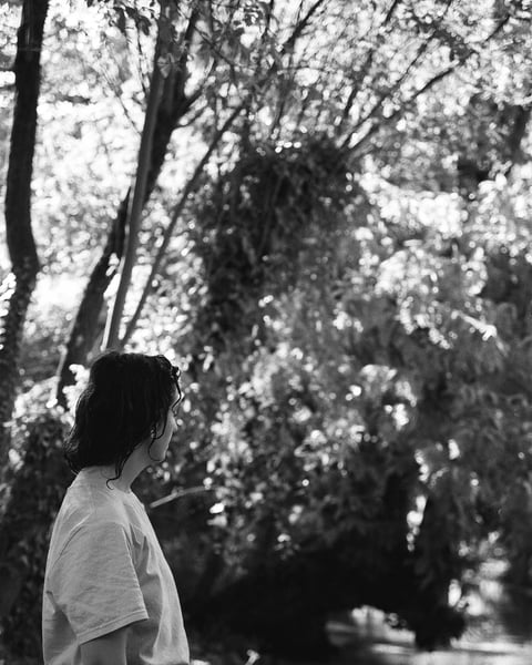 SOIF, Ondes titre provisoire