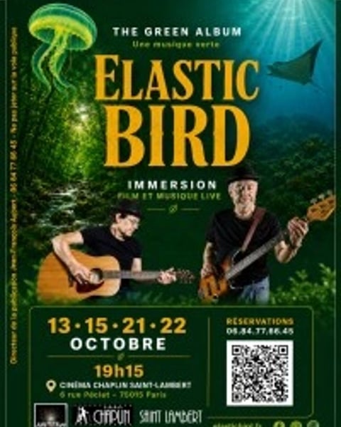 Elastic Bird