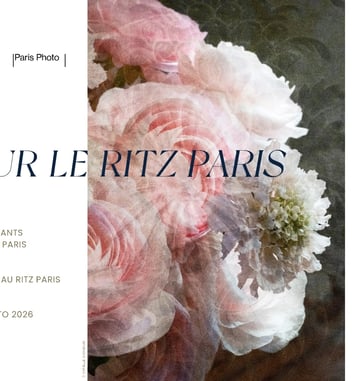 Regards sur le Ritz Paris