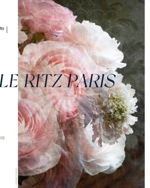 Regards sur le Ritz Paris