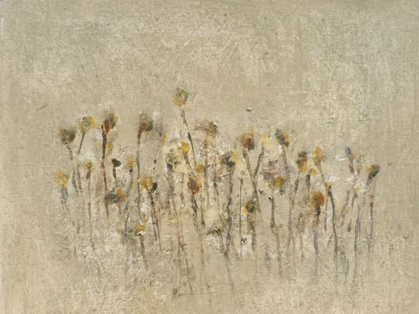 Exposition de Stéphanie Ferrat