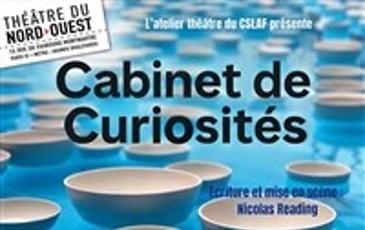 Cabinets de Curiosités