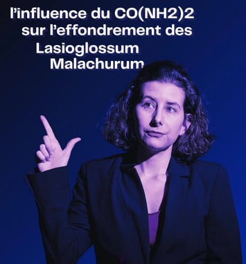 L'Influence du CO(NH2)2 sur l'effondrement des Lasioglossum Malachurum