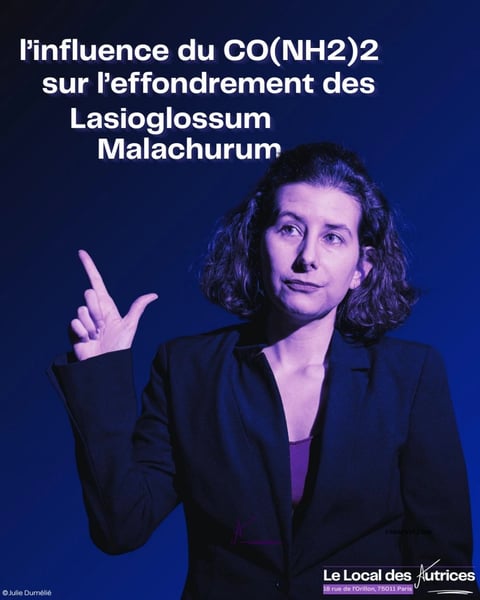 L'Influence du CO(NH2)2 sur l'effondrement des Lasioglossum Malachurum