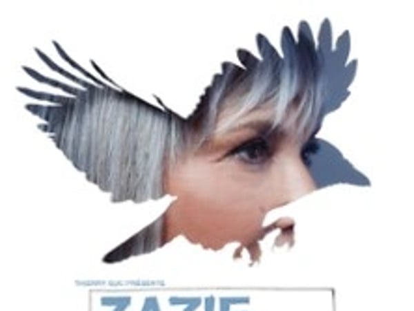 Zazie, Volatil Tour, Tournée des Zéniths