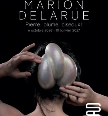 Marion Delarue. Pierre, Plume, Ciseaux