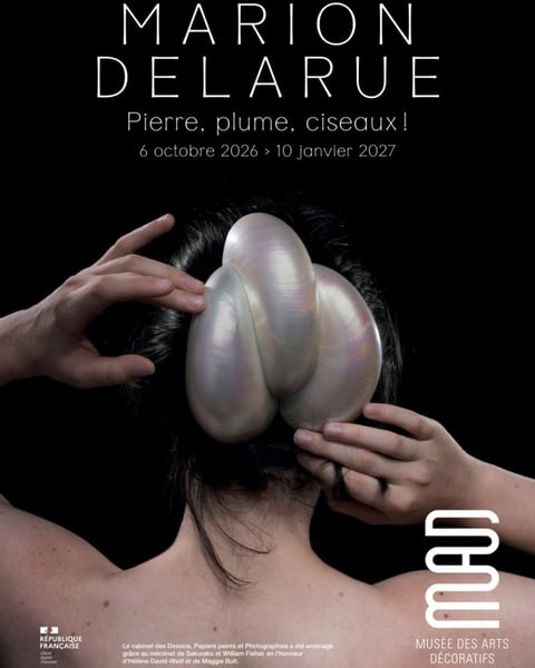 Marion Delarue. Pierre, Plume, Ciseaux